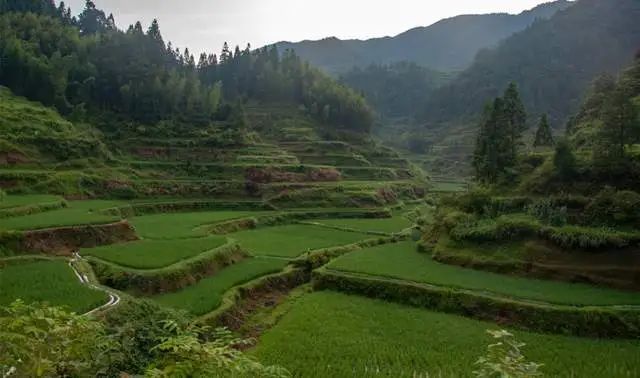 Zhaoxing Dong Village China's Ancient Towns