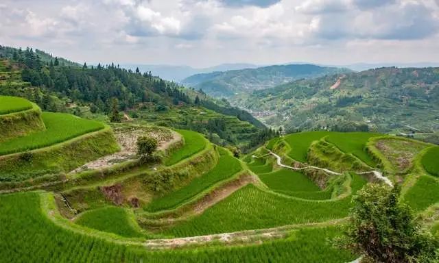 Zhaoxing Dong Village China's Ancient Towns