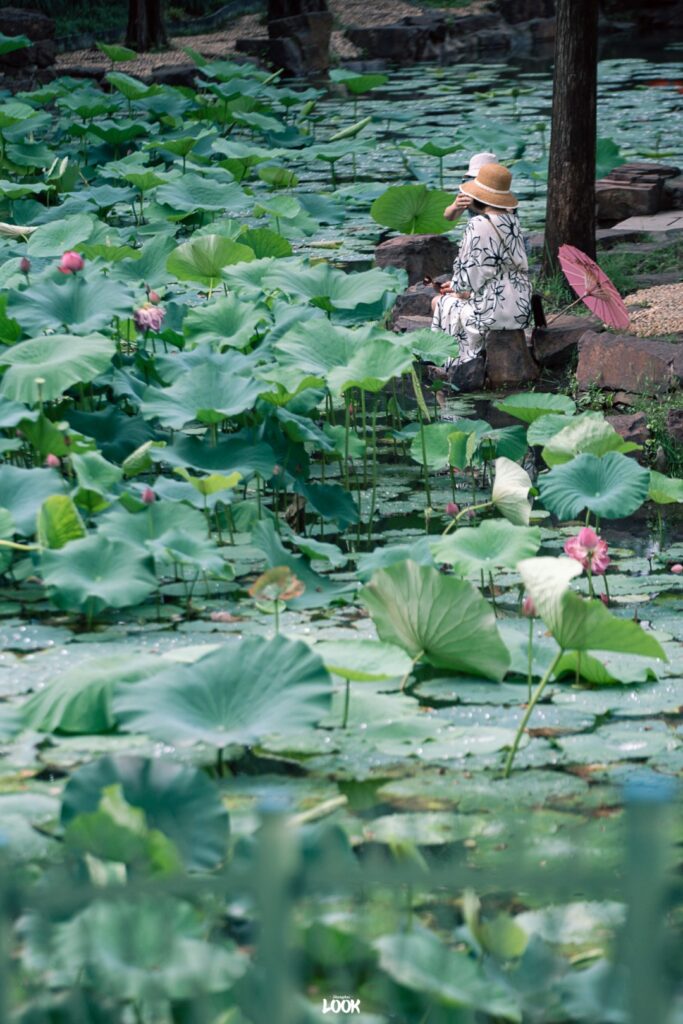 Summer in Shanghai