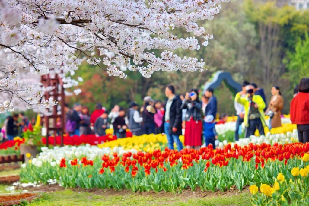 Shanghai Botanical Garden