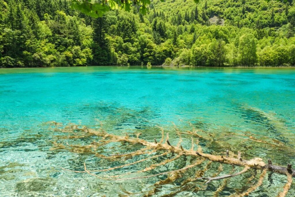 Jiuzhaigou