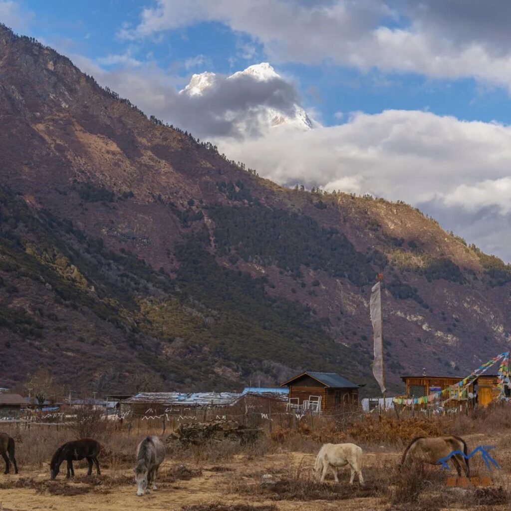 Distant View of Jiala Village↑