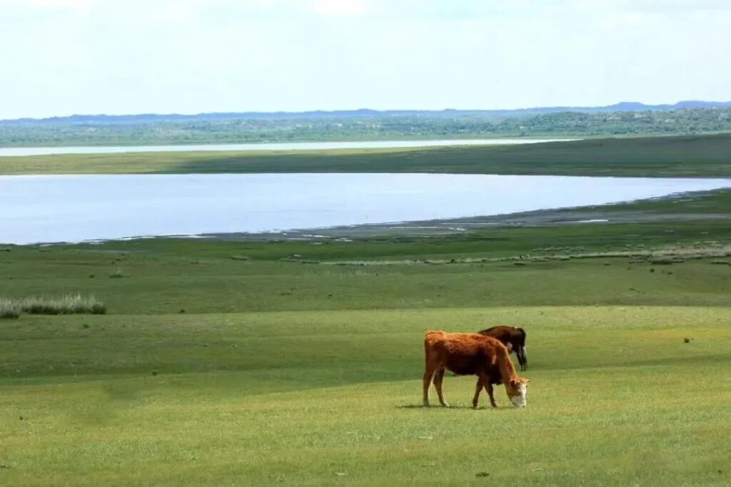 Beauty of Inner Mongolia