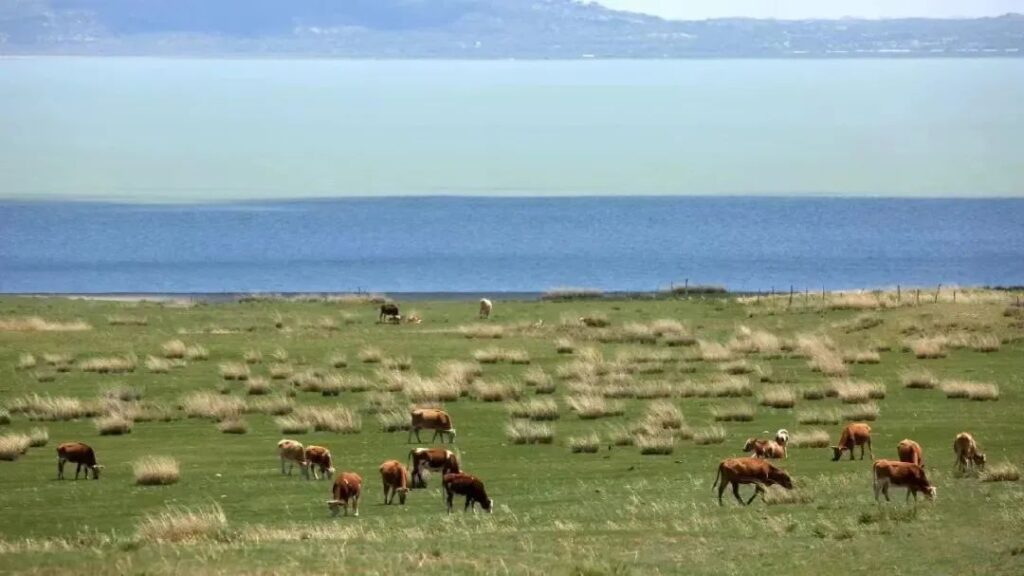 Beauty of Inner Mongolia