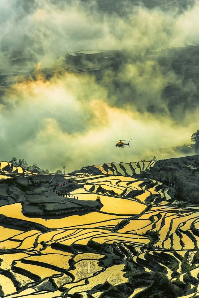 Yuanyang Rice Terraces, Yunnan