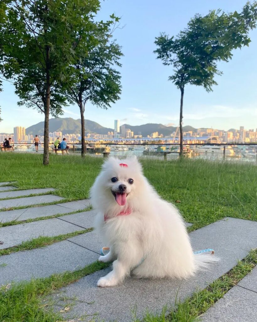 Kwun Tong Waterfront Promenade