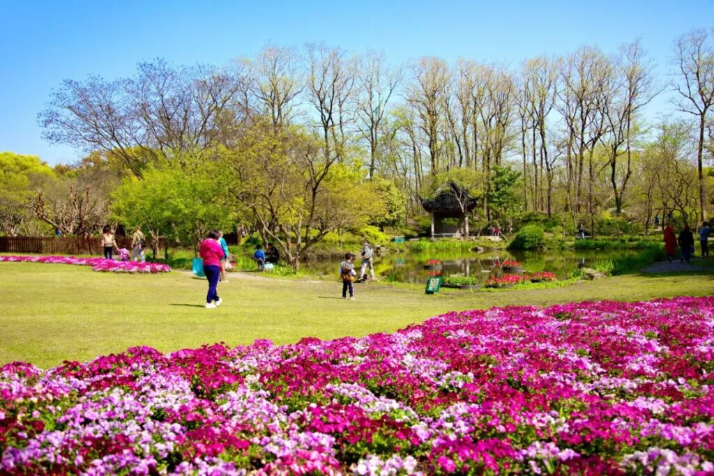 Shanghai Botanical Garden