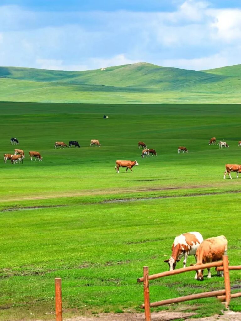 Beauty of Inner Mongolia