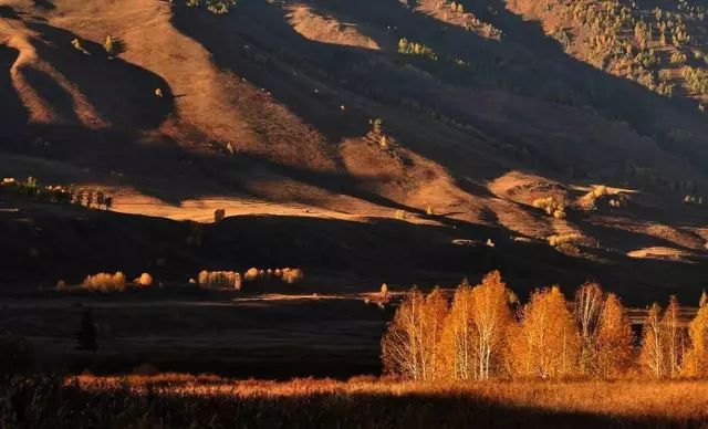 Tuwa Village Xinjiang China Autumn Paradise