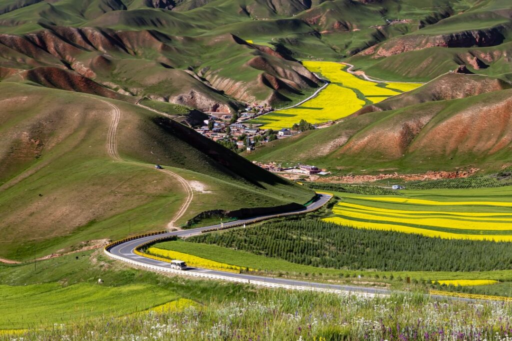 Qinghai