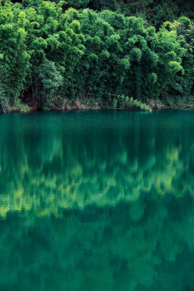 Shunan Bamboo Sea, Sichuan