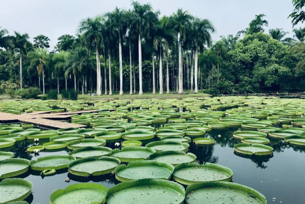 Xishuangbanna Travel