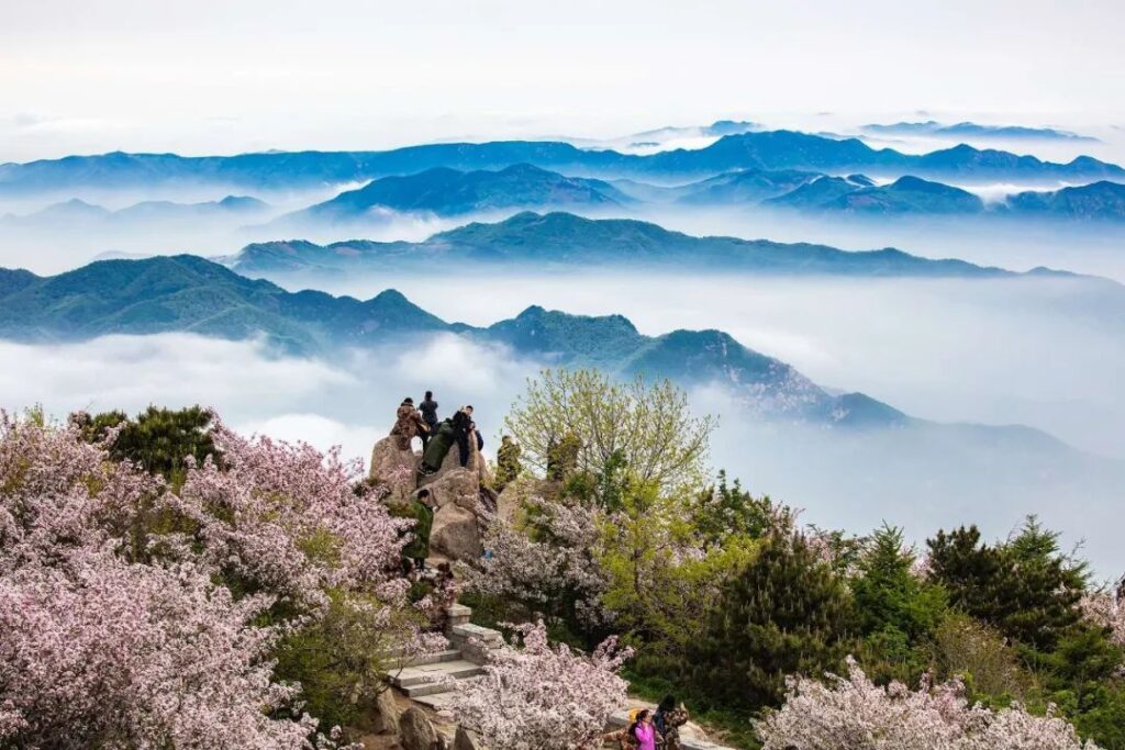 Mount Tai