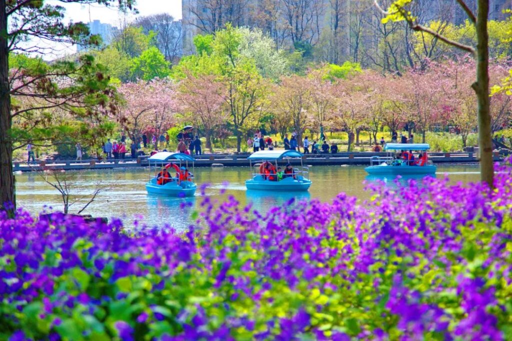 Shanghai Botanical Garden