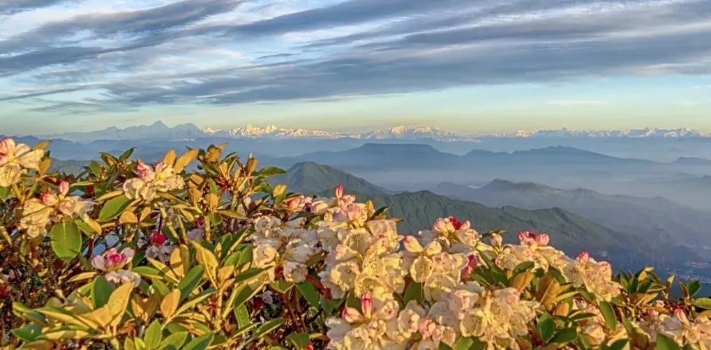 Mount Emei