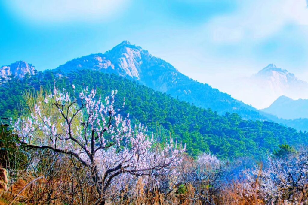 Mount Tai