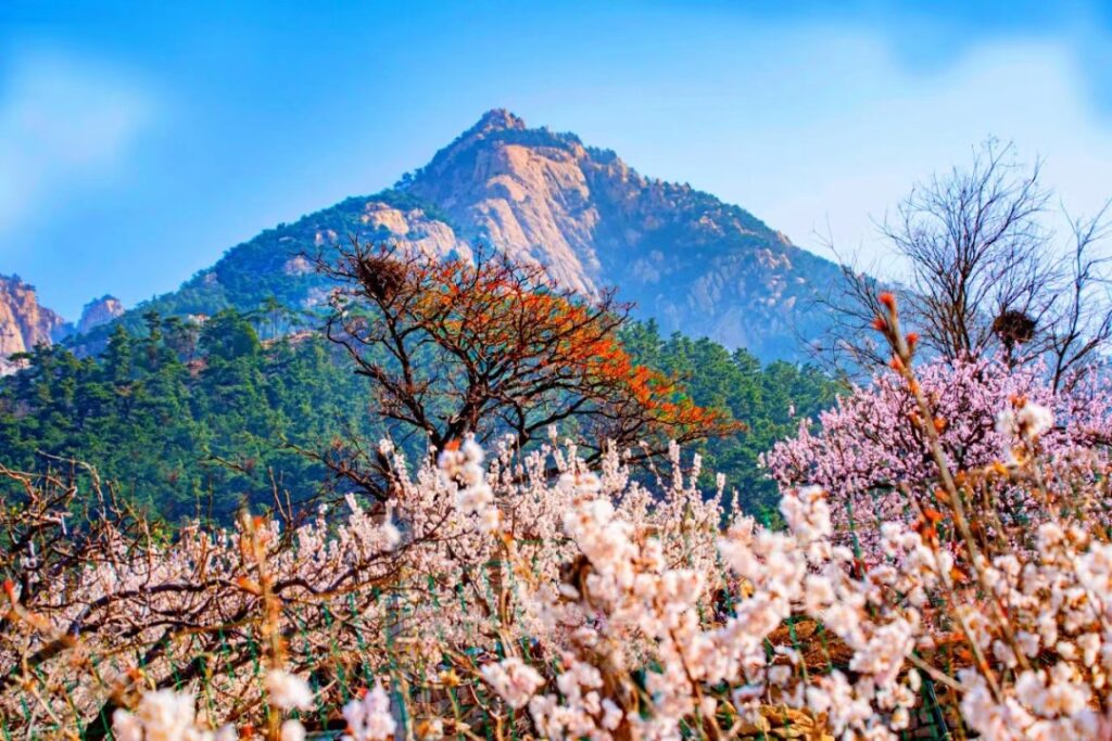 Mount Tai