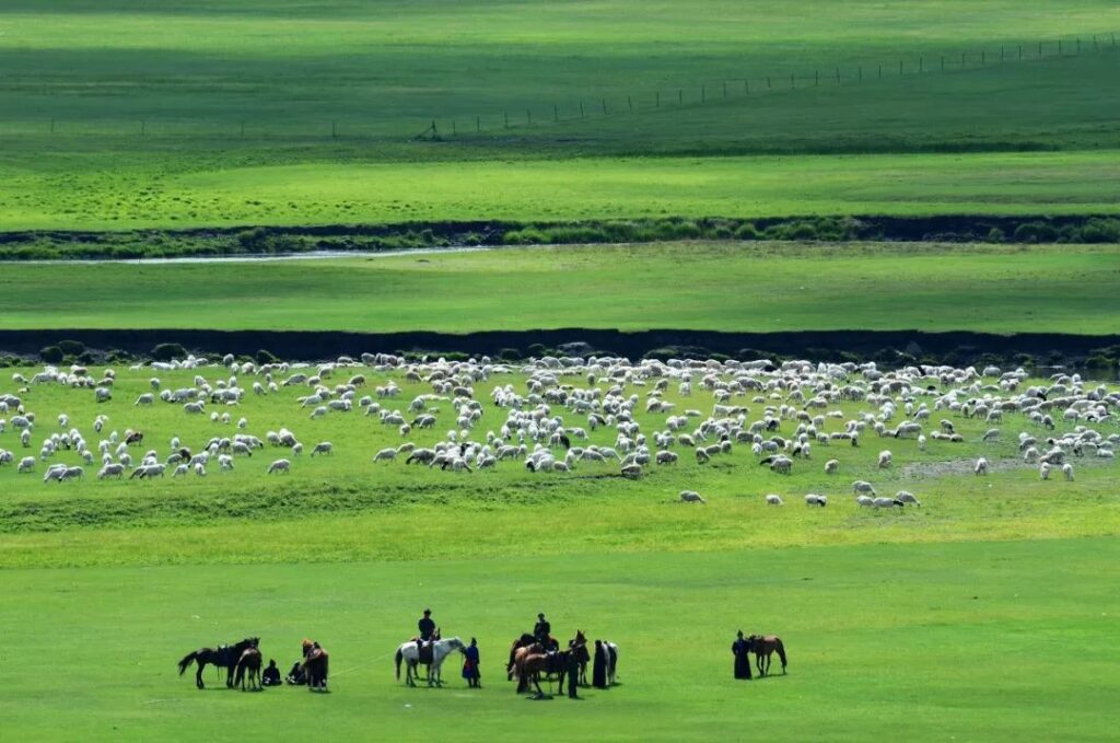 Hulunbuir Grassland