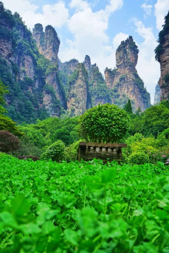 Zhangjiajie