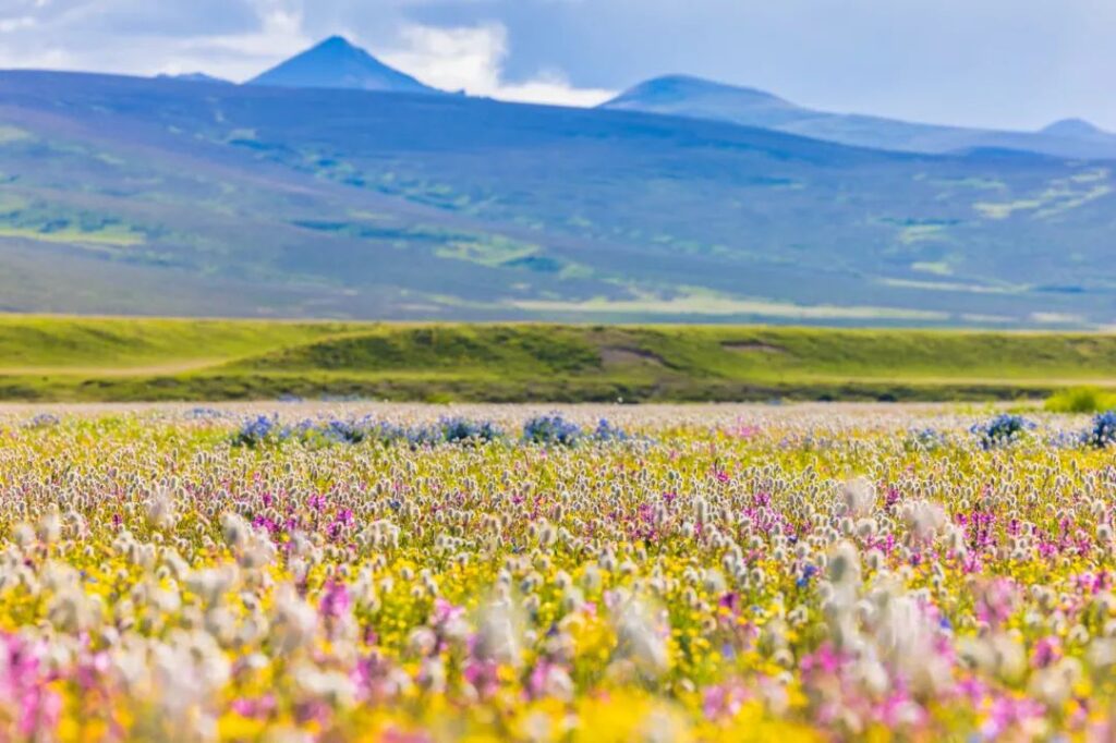 Western Sichuan