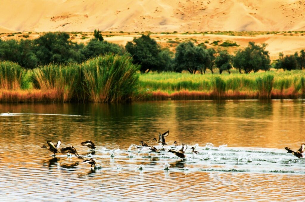 Badain Jaran China's Desert