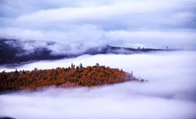 Tuwa Village Xinjiang China Autumn Paradise