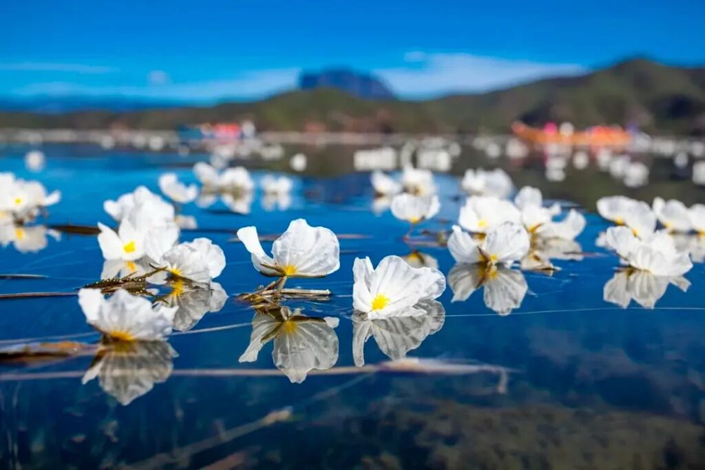 Lugu Lake