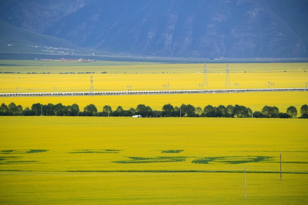 Qinghai