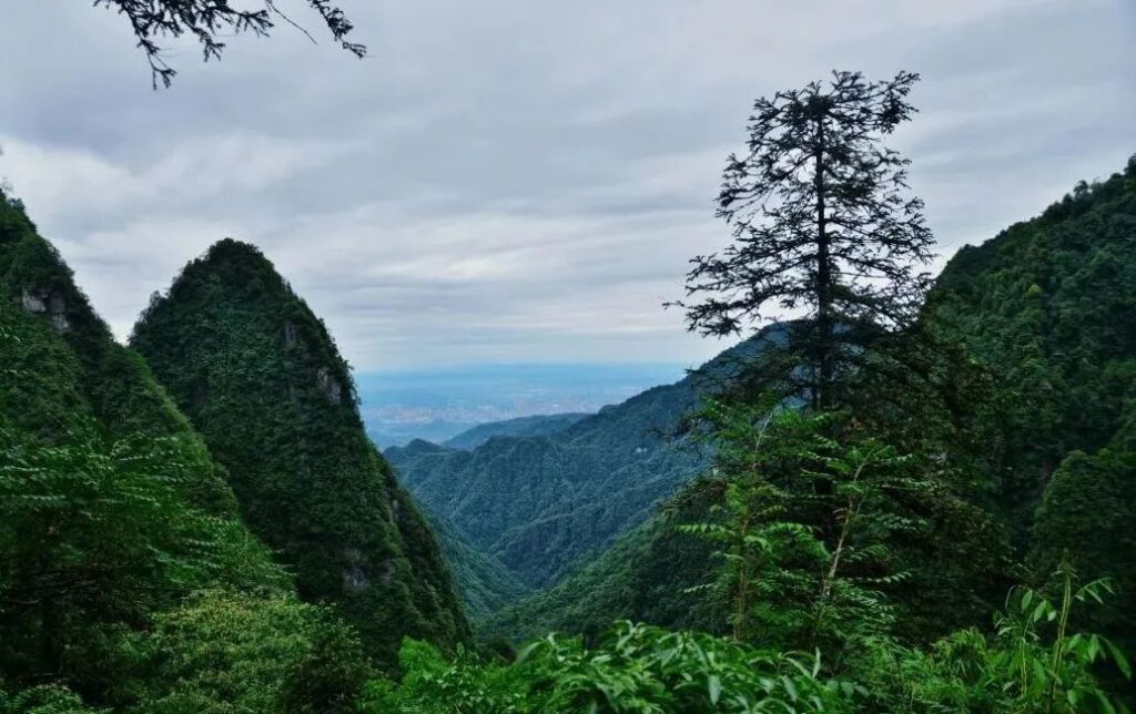 Mount Emei