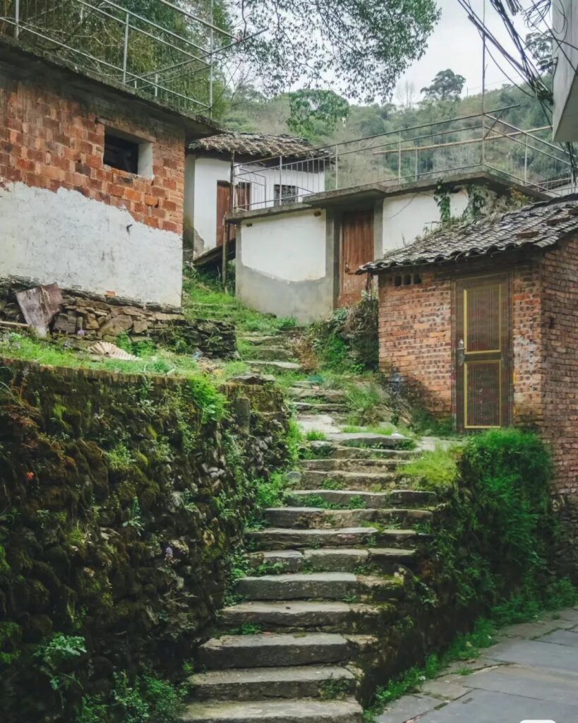 Jujing Village