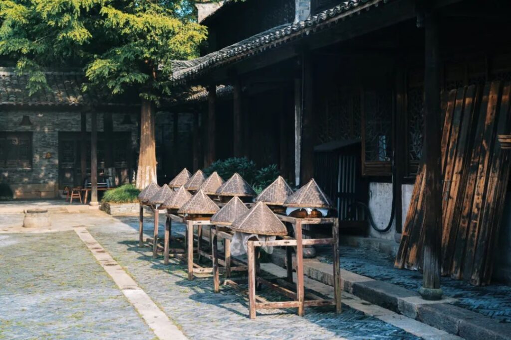 Wuzhen Travel