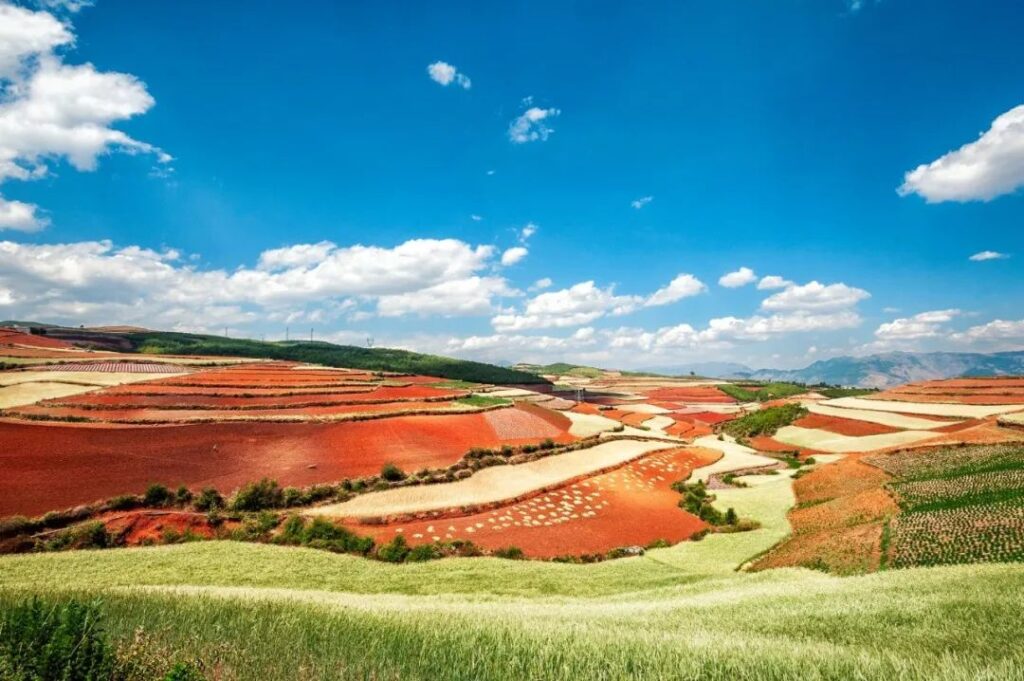 Dongchuan Red Land