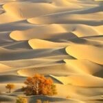 The Taklamakan: China’s Largest Desert – Not Just a “Sea of Death”!