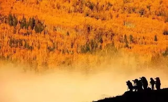 Tuwa Village Xinjiang China Autumn Paradise